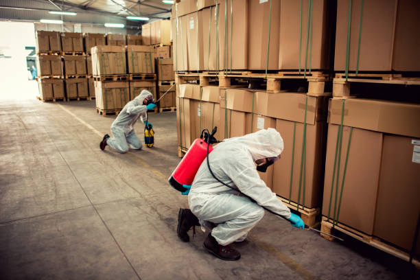 Best Mosquito Control Services  in Pleasanton, KS