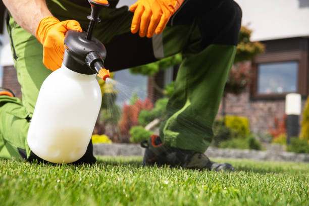 Best Pest Control for Restaurants  in Pleasanton, KS