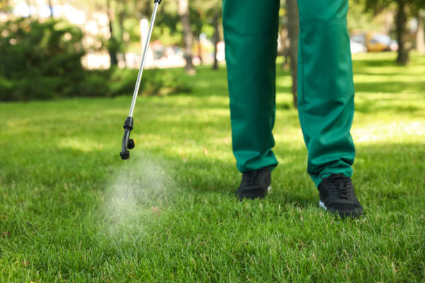 Best Insect Control  in Pleasanton, KS