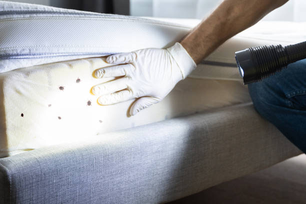 Best Best Pest Control Near Me  in Pleasanton, KS